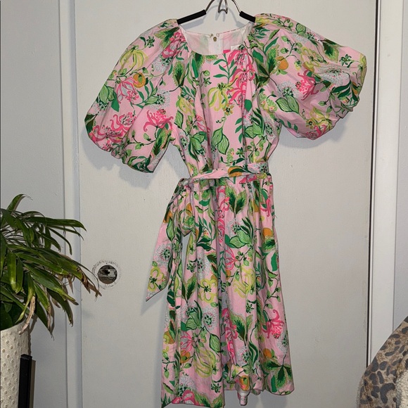 Lilly Pulitzer Knoxlie elbow-sleeve dress in the "Multi Via Amore Spritzer Sz 8 - Picture 5 of 10
